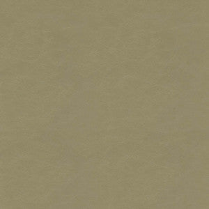 F5057 Cement by Greenhouse Fabric