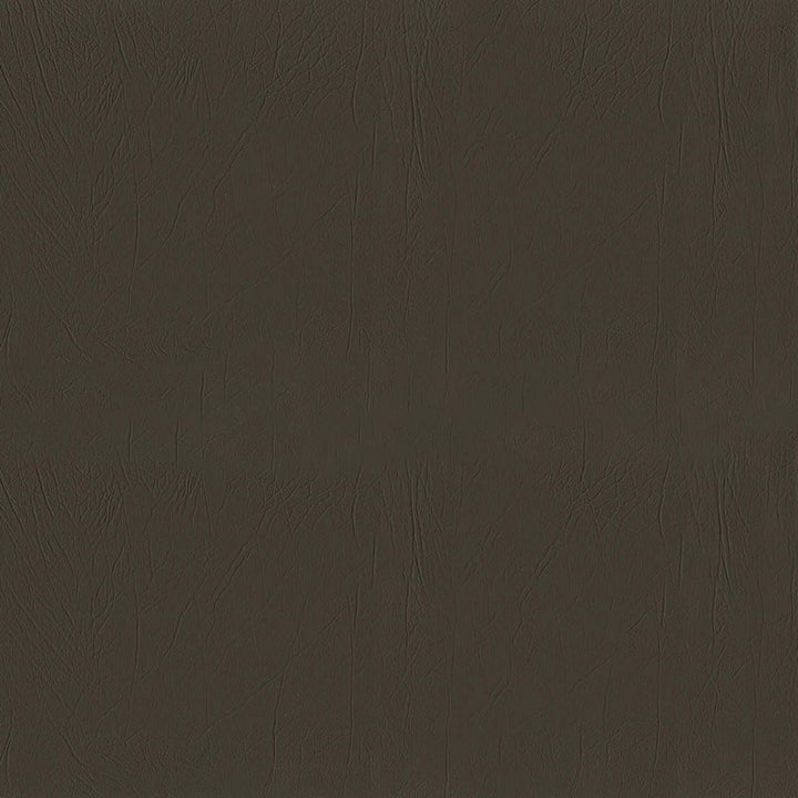 F5058 Coffee by Greenhouse Fabric 100% Vinyl, Backing: 100% Polyester China 1,500,000 </p><p>Repeat: None 54" - Fabric Carolina -