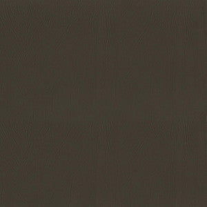 F5058 Coffee by Greenhouse Fabric