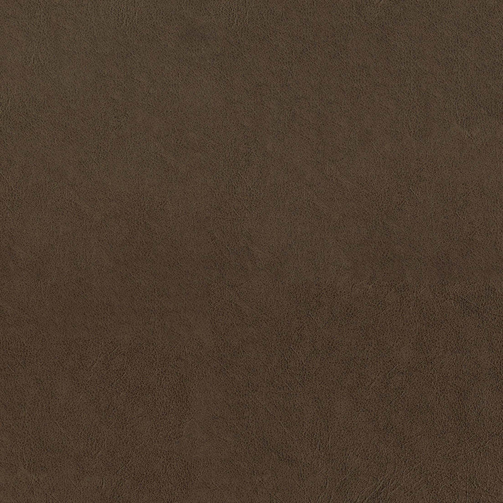 F5060 Saddle by Greenhouse Fabric 100% Vinyl, Backing: 100% Polyester China 1,500,000 </p><p>Repeat: None 54" - Fabric Carolina -