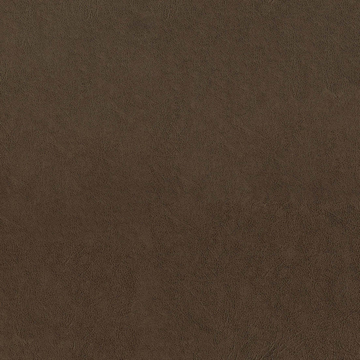 F5060 Saddle by Greenhouse Fabric 100% Vinyl, Backing: 100% Polyester China 1,500,000 </p><p>Repeat: None 54" - Fabric Carolina -