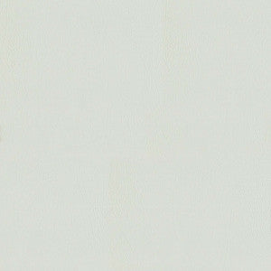 F5070 Crystal Grey by Greenhouse Fabric