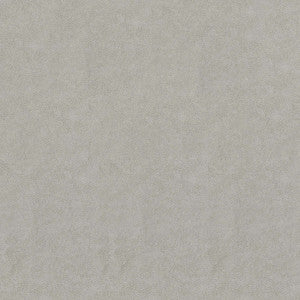 F5071 Sterling by Greenhouse Fabric