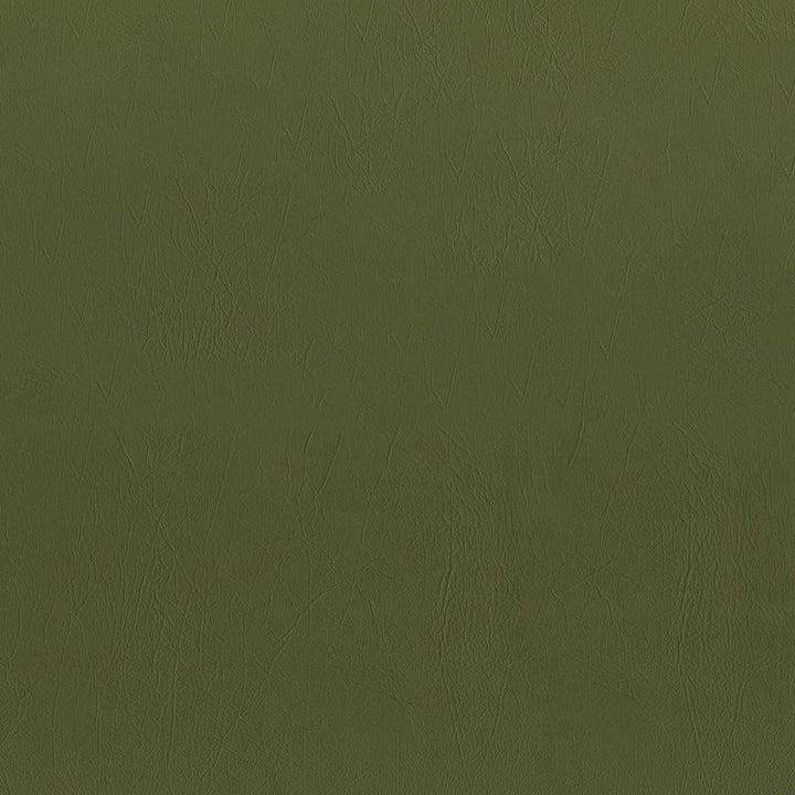 F5077 Fern by Greenhouse Fabric 100% Vinyl, Backing: 100% Polyester China 1,500,000 </p><p>Repeat: None 54" - Fabric Carolina -