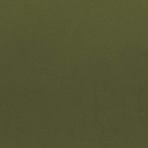 F5077 Fern by Greenhouse Fabric