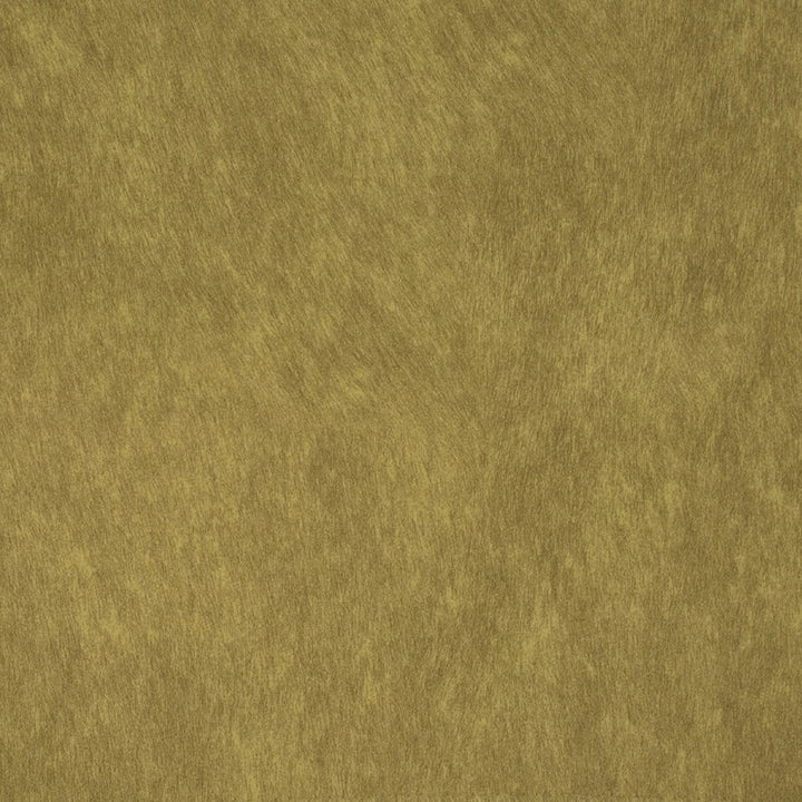 F5225 Grass by Greenhouse Fabric 100% Polyester China 200,000 </p><p>Repeat: None 56" - Fabric Carolina -