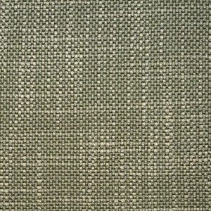 F5227 Sage by Greenhouse Fabric