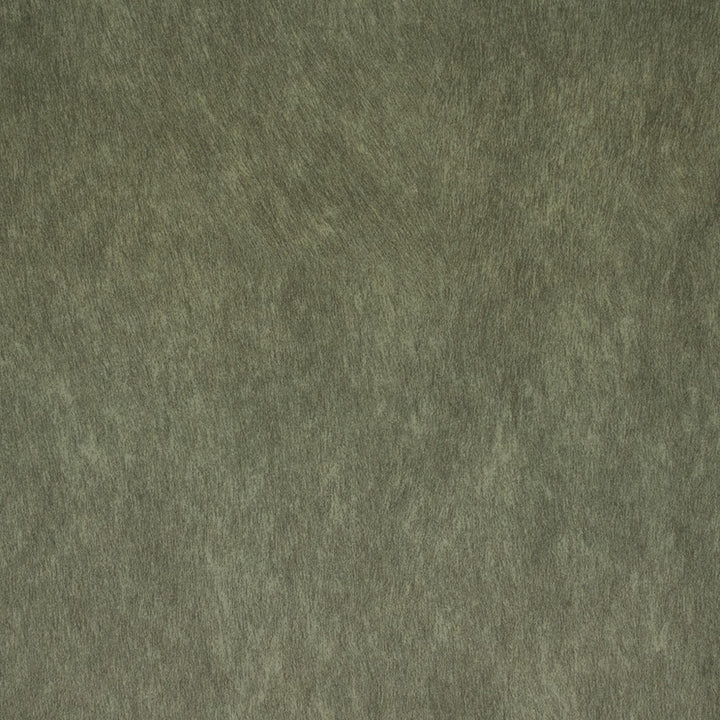 F5229 Caper by Greenhouse Fabric 100% Polyester China 200,000 </p><p>Repeat: None 56" - Fabric Carolina -