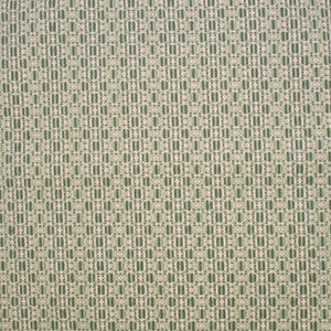 F5242 Sage by Greenhouse Fabric
