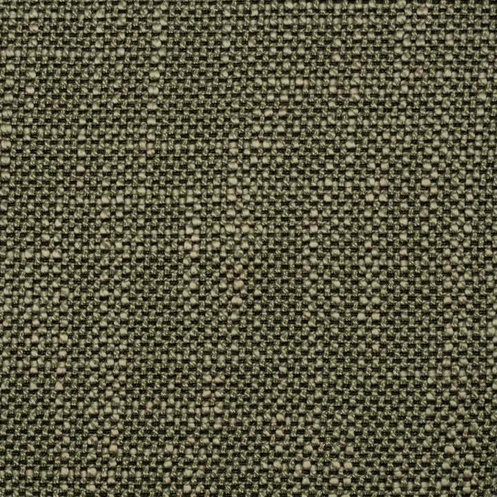 F5266 Alpine by Greenhouse Fabric 100% Polyester China 50,000 </p><p>Repeat: None 57" - Fabric Carolina -