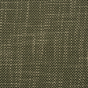 F5266 Alpine by Greenhouse Fabric