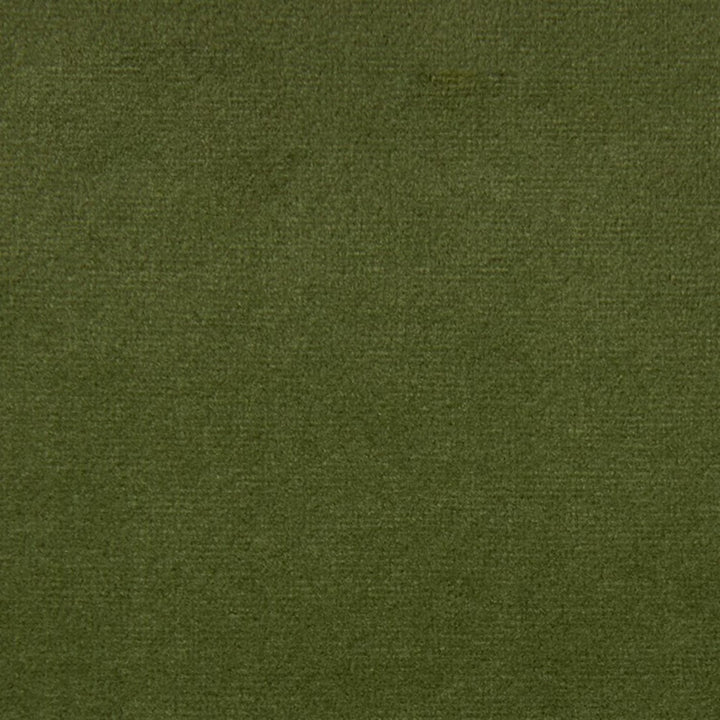 F5335 Dill by Greenhouse Fabric 100% Polyester China 100,000 </p><p>Repeat: None 54" - Fabric Carolina -
