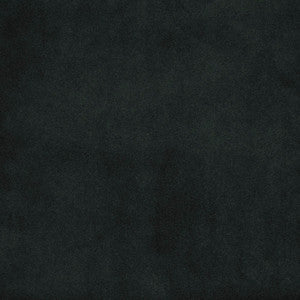 F5444 Charcoal by Greenhouse Fabric
