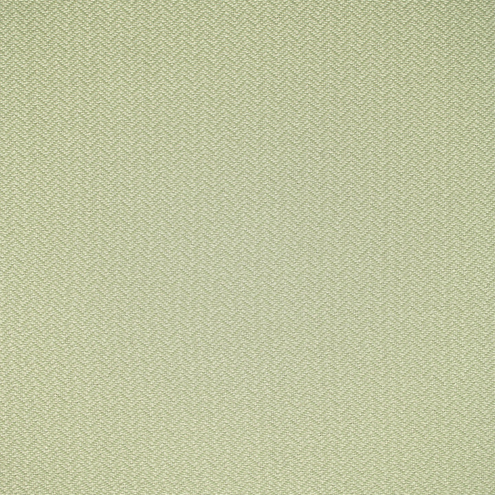 F5456 Snow Day by Greenhouse Fabric 54.07% Olefin, 45.93% Pcr Polyester USA 51,000 </p><p>Repeat: .438" H, .563" V 54" - Fabric Carolina -