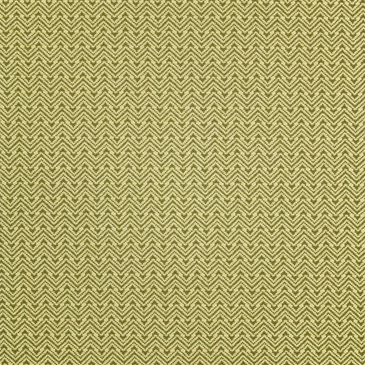 F5463 Algae by Greenhouse Fabric 100% Olefin USA 12,000 </p><p>Repeat: .563" H, .813" V 54" - Fabric Carolina -
