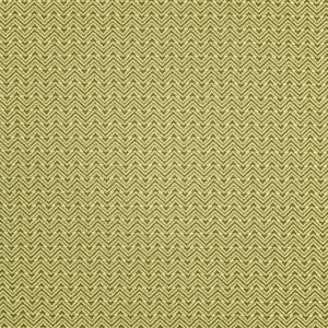 F5463 Algae by Greenhouse Fabric