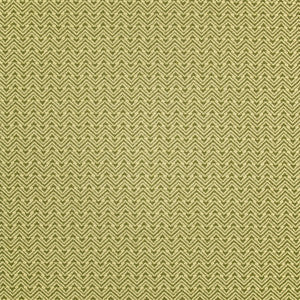F5463 Algae by Greenhouse Fabric