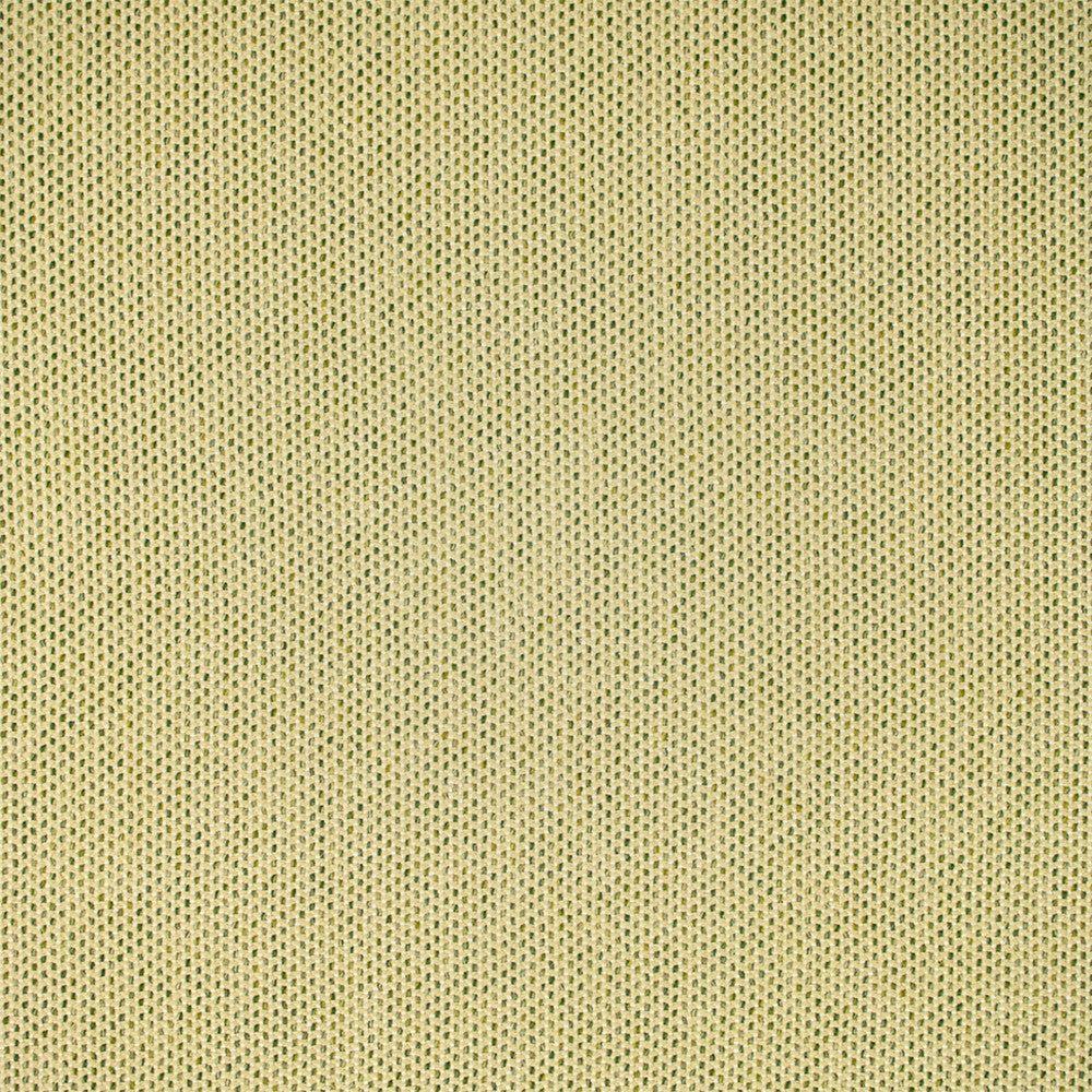 F5464 Grass by Greenhouse Fabric 98.58% Olefin, 1.42% Polyester USA 51,000 </p><p>Repeat: .188" H, .188" V 54" - Fabric Carolina -