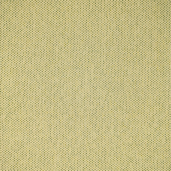 F5464 Grass by Greenhouse Fabric 98.58% Olefin, 1.42% Polyester USA 51,000 </p><p>Repeat: .188" H, .188" V 54" - Fabric Carolina -