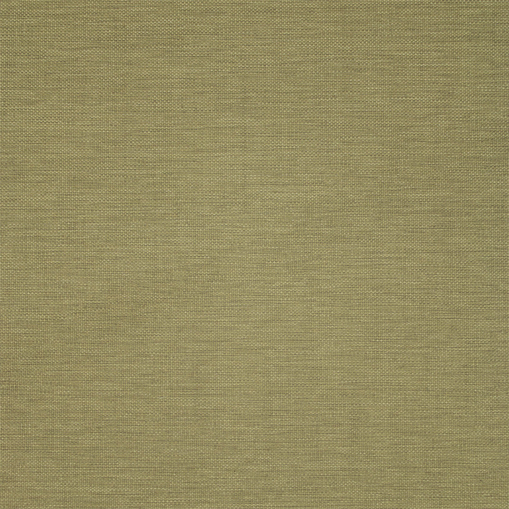 F5467 Forest by Greenhouse Fabric 100% Olefin USA 72,000 </p><p>Repeat: .188" H, .211" V 54" - Fabric Carolina -