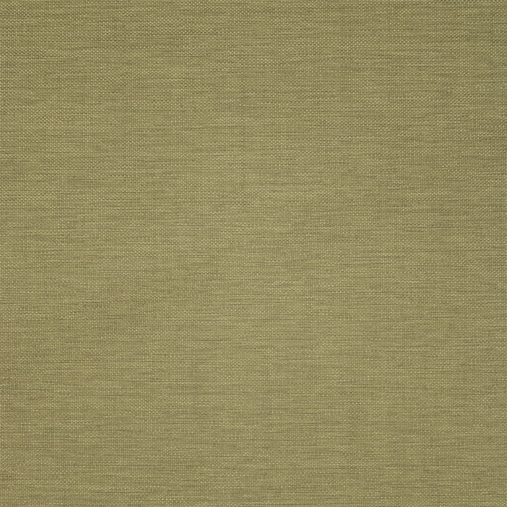 F5467 Forest by Greenhouse Fabric 100% Olefin USA 72,000 </p><p>Repeat: .188" H, .211" V 54" - Fabric Carolina -