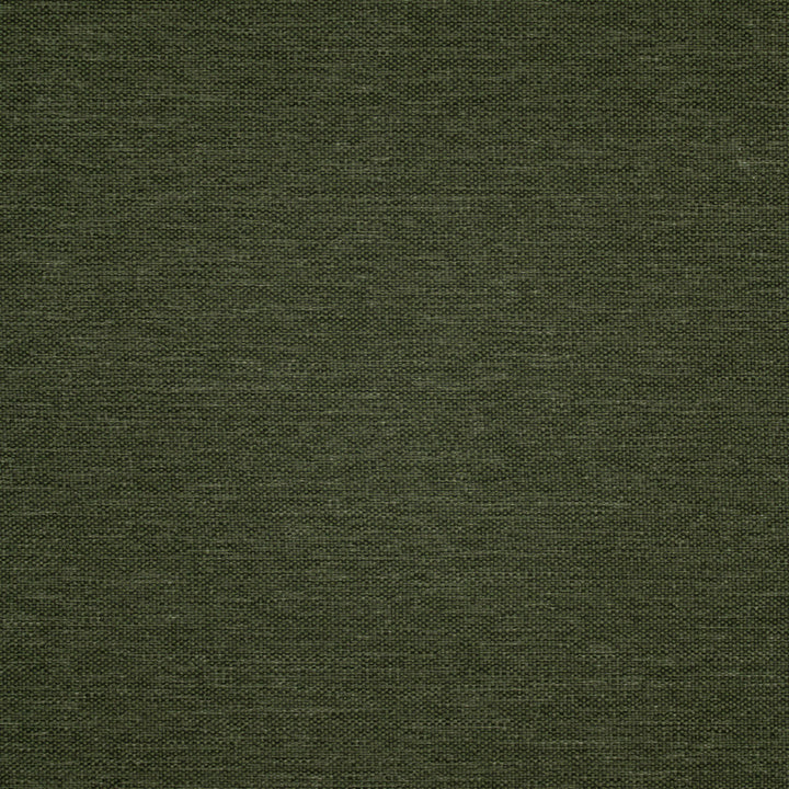 F5473 Graphite by Greenhouse Fabric 100% Olefin USA 108,000 </p><p>Repeat: .063" H, .063" V 56" - Fabric Carolina -