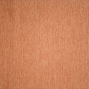 F5478 Rust by Greenhouse Fabric