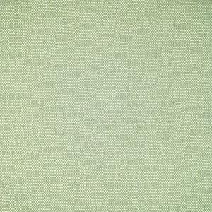 F5483 Celadon by Greenhouse Fabric