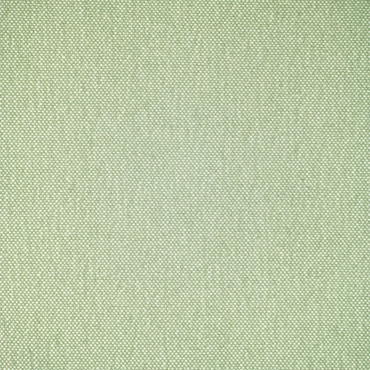 F5483 Celadon by Greenhouse Fabric 55.3% Olefin, 44.7% Polyester USA 33,000 </p><p>Repeat: .286" H, .125" V 55" - Fabric Carolina -
