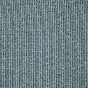F5496 Blue by Greenhouse Fabric