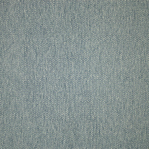 F5497 Riviera by Greenhouse Fabric