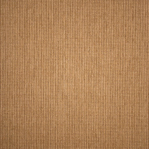 F5531 Amber by Greenhouse Fabric
