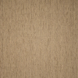 F5550 Driftwood by Greenhouse Fabric