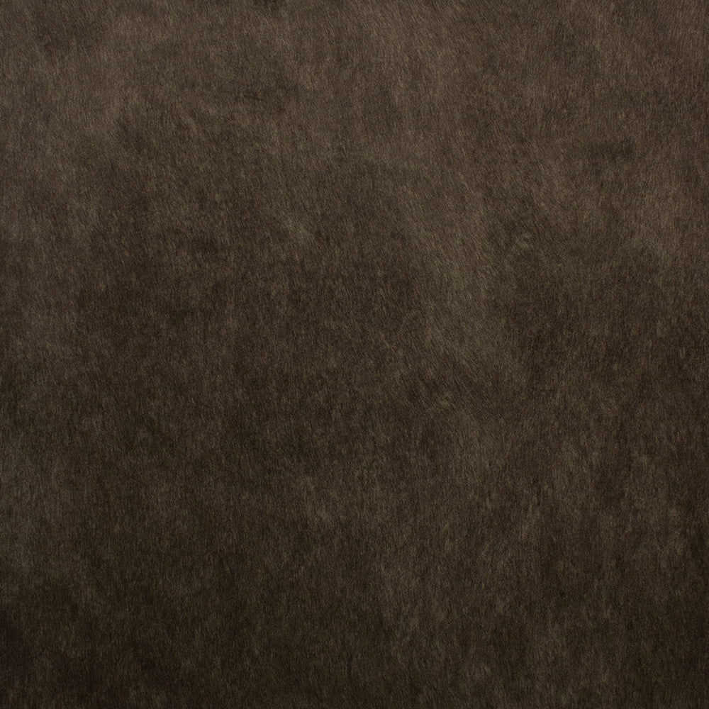 F5572 Espresso by Greenhouse Fabric 100% Polyester China 50,000 </p><p>Repeat: None 55" - Fabric Carolina -