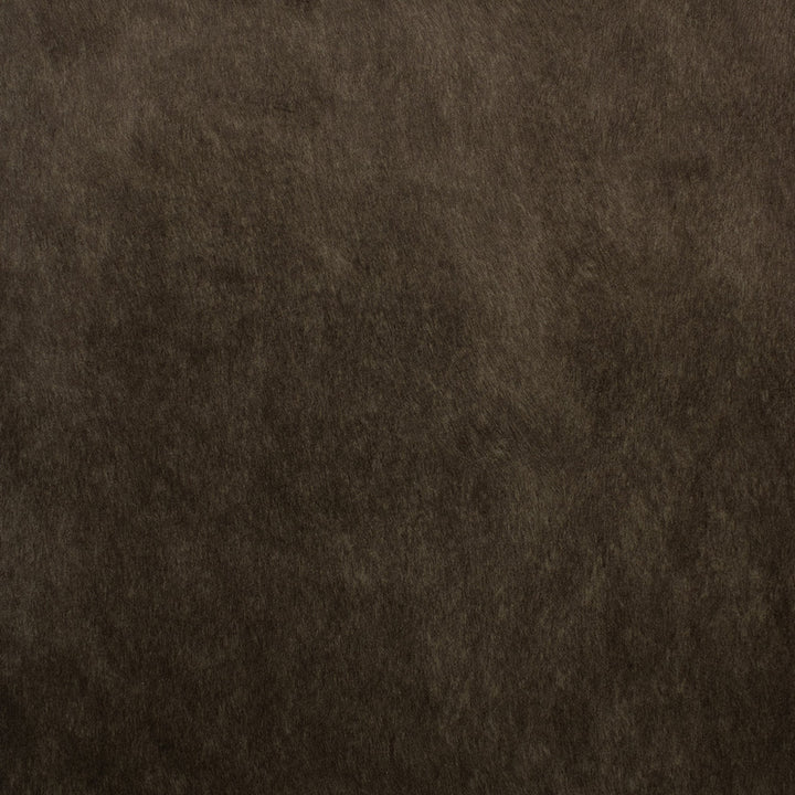 F5572 Espresso by Greenhouse Fabric 100% Polyester China 50,000 </p><p>Repeat: None 55" - Fabric Carolina -