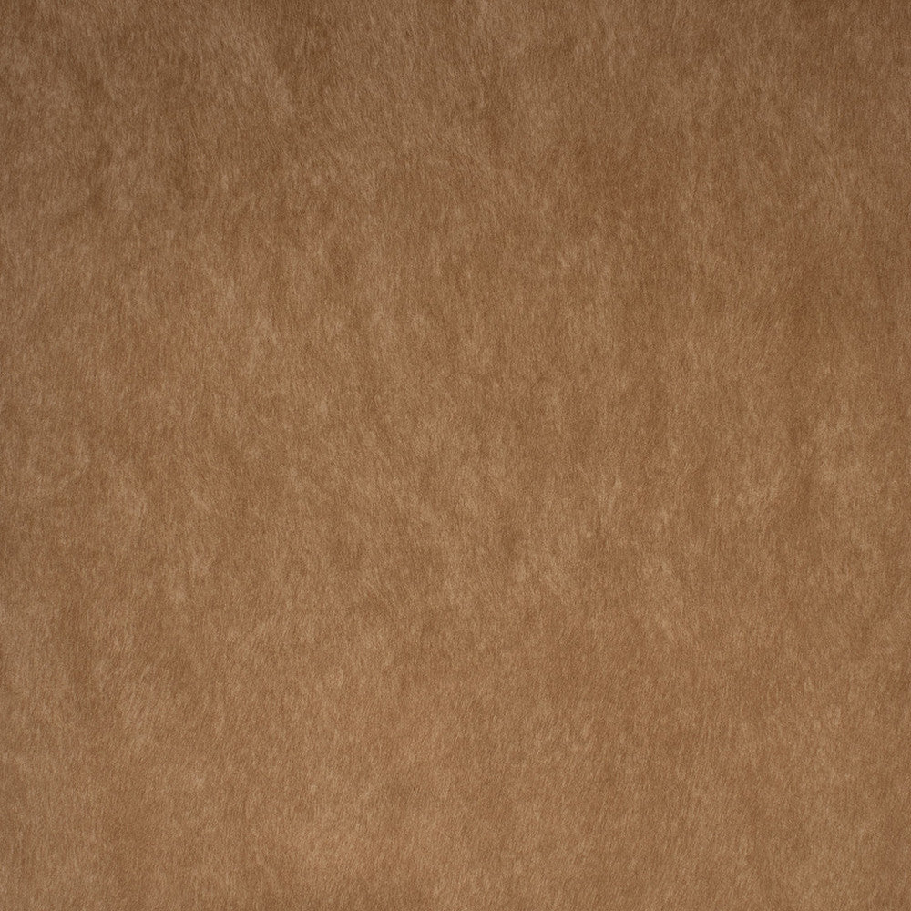 F5578 Camel by Greenhouse Fabric 100% Polyester China 50,000 </p><p>Repeat: None 55" - Fabric Carolina -