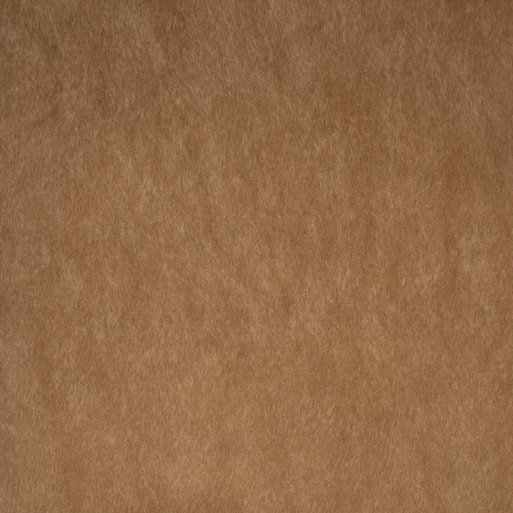 F5578 Camel by Greenhouse Fabric 100% Polyester China 50,000 </p><p>Repeat: None 55" - Fabric Carolina -