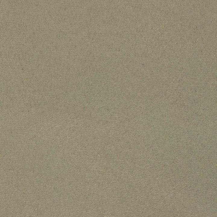 F5597 Forest by Greenhouse Fabric 75% Polyester, 25% Cotton China 50,000 </p><p>Repeat: None 55" - Fabric Carolina -