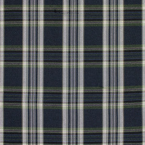 F5665 Navy by Greenhouse Fabric
