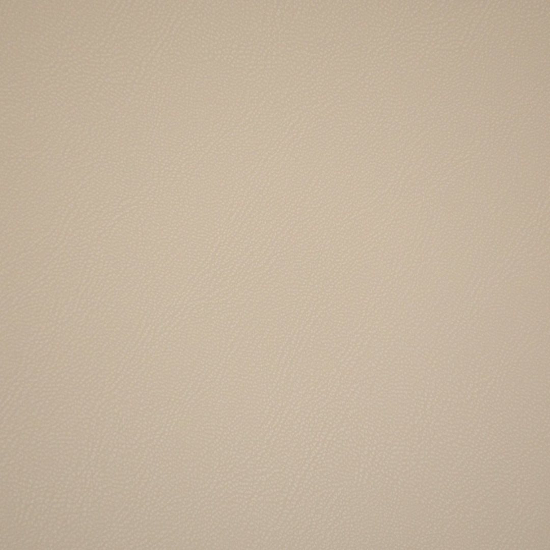 F6657 Pebble by Greenhouse Designer Fabric