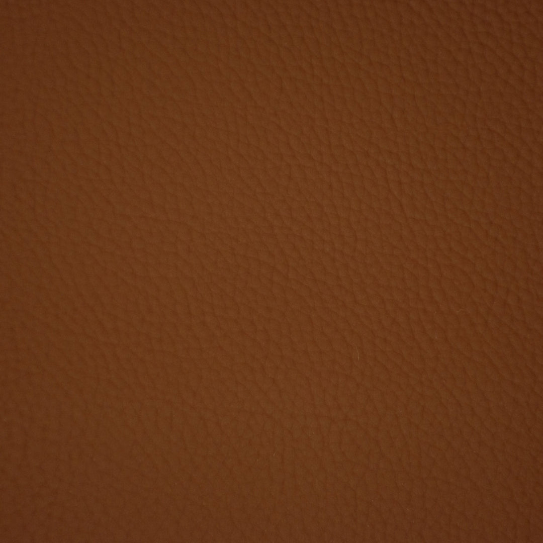 F6658 Cinnamon by Greenhouse Designer Fabric