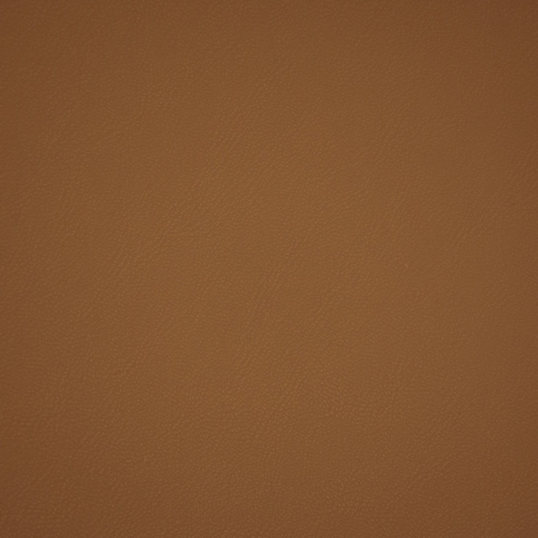 F6661 Tan by Greenhouse Designer Fabric