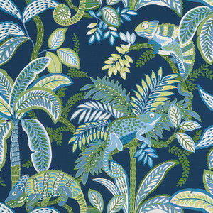 Iggy Coastal F81677 by Thibaut Fabric