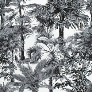 Palm Botanical Black F910102 by Thibaut Fabric