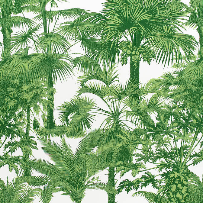 Palm Botanical Emerald Green F910103 by Thibaut Fabric Thibaut Fabric Palm Botanical Emerald Green F910103Fabric Tropics Fabric Book 100% Cotton ITALY </p><p>Repeat: V: 35 54 - Fabric Carolina -