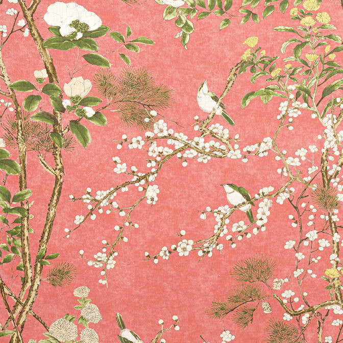 Katsura Coral F913624 by Thibaut Fabric Thibaut Fabric Katsura Coral F913624Fabric Grand Palace Fabric Book 82% Viscose, 18% Linen SCOTLAND </p><p>Repeat: V: 50.5 54 - Fabric Carolina -