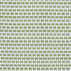 Denver Green and Blue F914327 by Thibaut Fabric