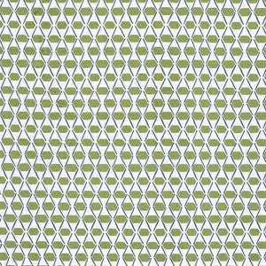 Denver Green and Blue F914327 by Thibaut Fabric