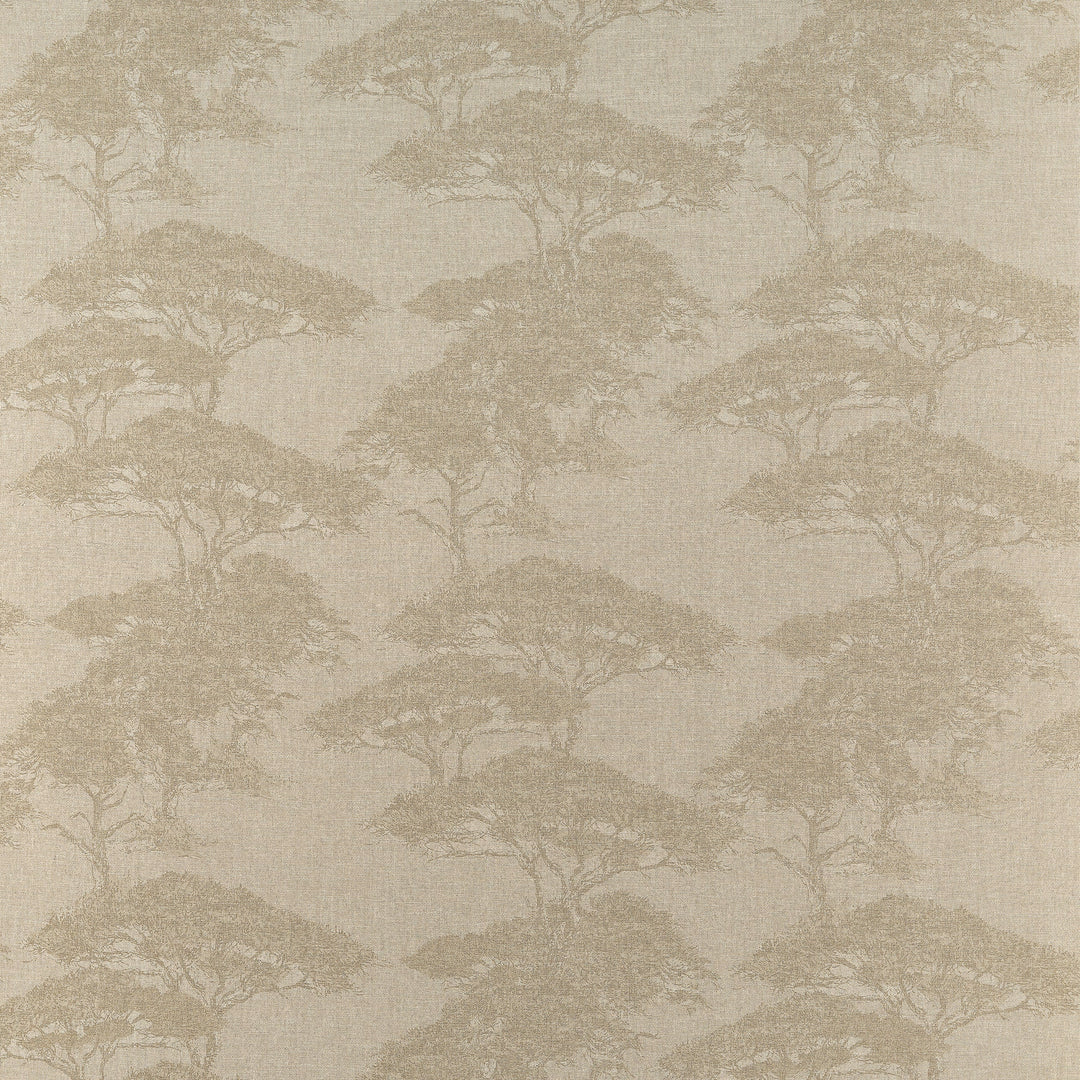 TORREY PINES - Champagne by Thibaut Fabric