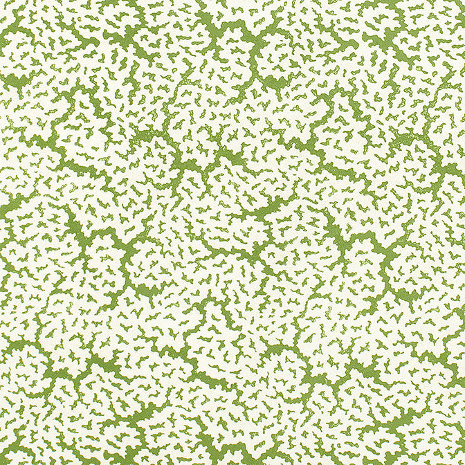 Maldives Green F942041 by Thibaut Fabric Thibaut Fabric Maldives Green F942041Fabric Sojourn Fabric Book 100% Cotton ITALY </p><p>Repeat: V: 21.75 53 - Fabric Carolina -